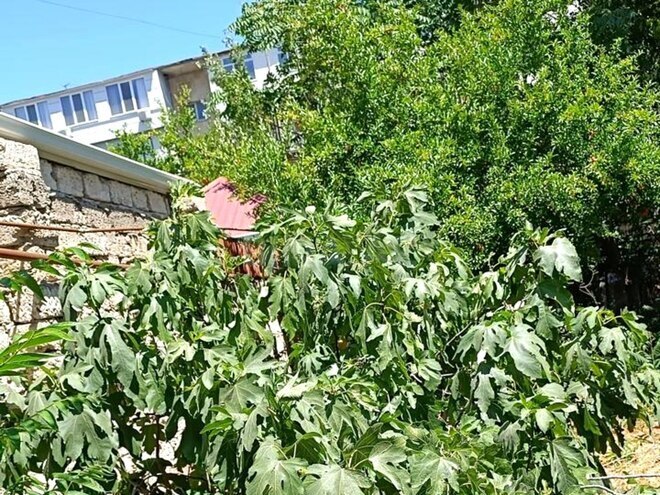 Продается 4-комн. дом/дача 125 м², м. Кара Караев, photo 27 from 30