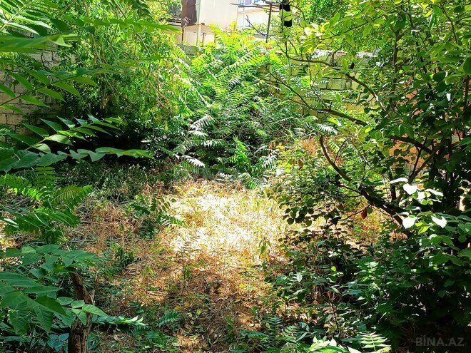 Продается 4-комн. дом/дача 125 м², м. Кара Караев, photo 9 from 30