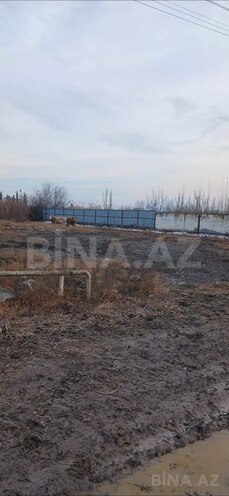 Участок - Уджар - 10 сот (2)