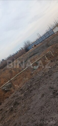 Участок - Уджар - 10 сот (4)