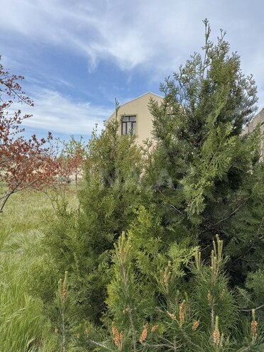 5 otaqlı həyət evi/bağ evi - Bilgəh q. - 148 m² (3)