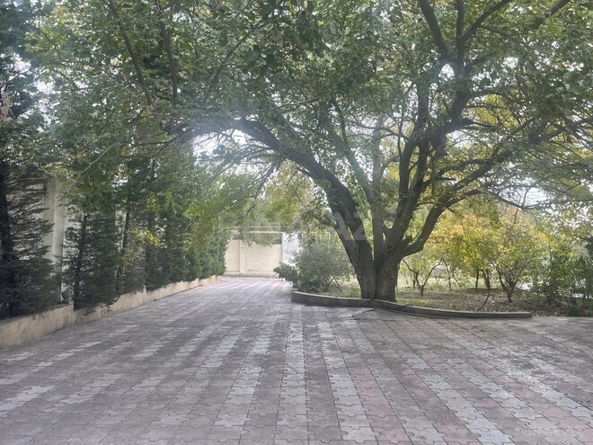5 otaqlı həyət evi/bağ evi - Novxanı q. - 250 m² (2)