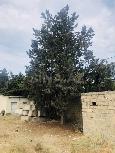 Продаётся  участок 24 сот, пос. Шаган, photo 8 from 9