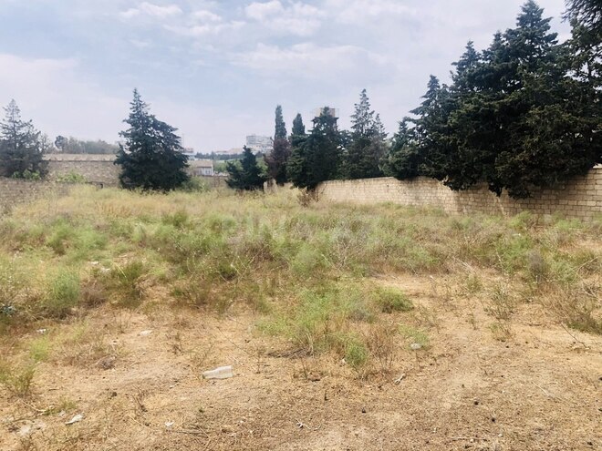 Продаётся  участок 24 сот, пос. Шаган, photo 4 from 9