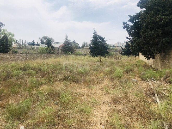 Продаётся  участок 24 сот, пос. Шаган, photo 5 from 9