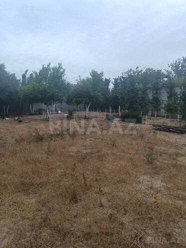 Torpaq - Albalılıq q. - 5 sot (1)