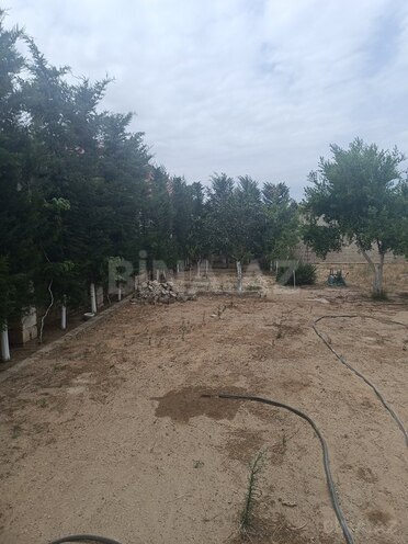Torpaq - Albalılıq q. - 5 sot (6)