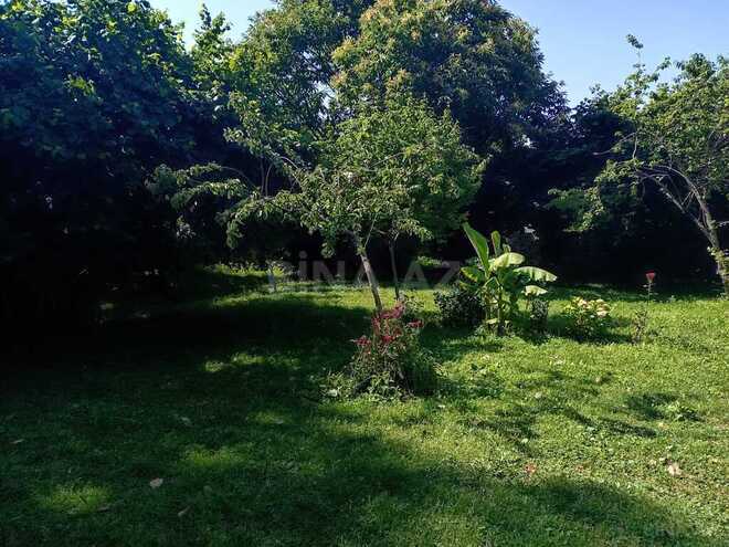 3 otaqlı həyət evi/bağ evi - Qəbələ - 180 m² (4)