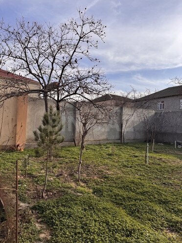 7 otaqlı həyət evi/bağ evi - Sulutəpə q. - 300 m² (6)