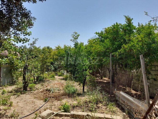 4 otaqlı həyət evi/bağ evi - Buzovna q. - 120 m² (12)