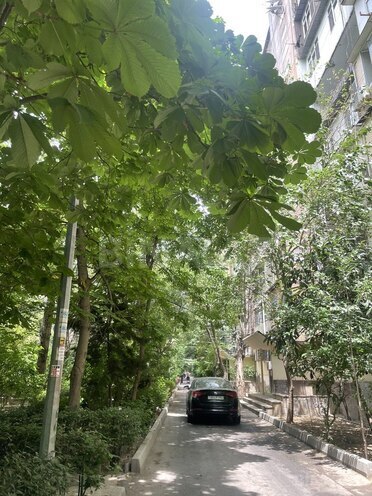 4 otaqlı köhnə tikili - Azadlıq Prospekti m. - 100 m² (9)