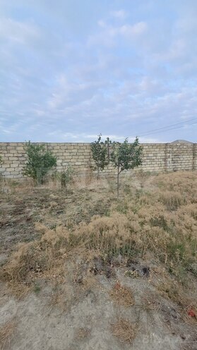 3 otaqlı həyət evi/bağ evi - Novxanı q. - 81 m² (9)