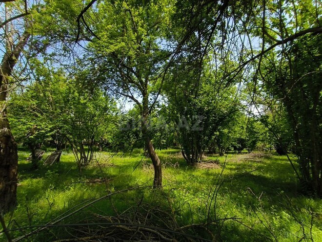 3-комн. дом/дача - Габала - 120 м² (27)