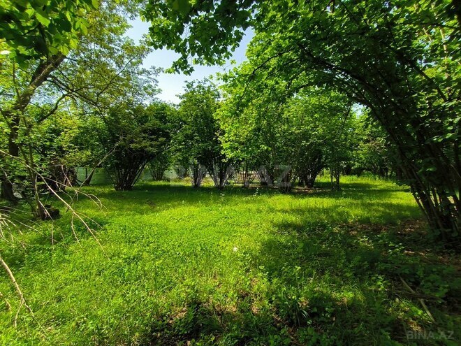 3-комн. дом/дача - Габала - 120 м² (19)