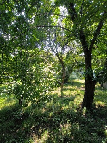 3-комн. дом/дача - Габала - 120 м² (29)