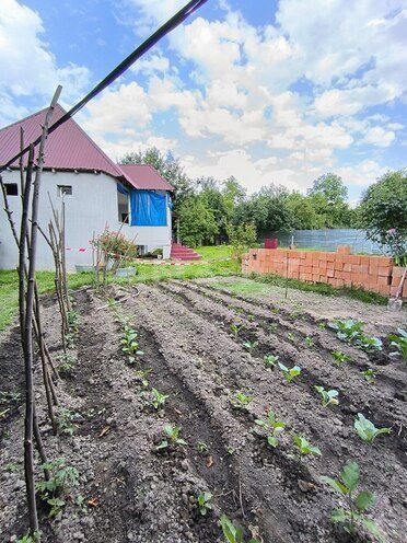 3-комн. дом/дача - Габала - 120 м² (30)