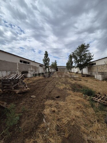 Объект - пос. Мамедли - 1382.8 м² (4)