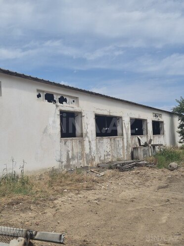 Объект - пос. Мамедли - 1382.8 м² (3)