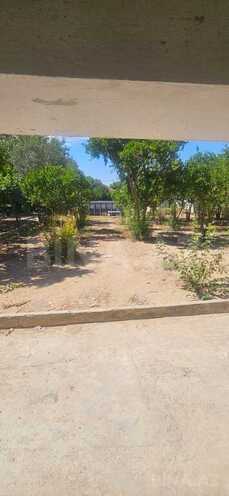 4 otaqlı həyət evi/bağ evi - Türkan q. - 196 m² (23)