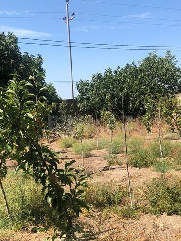 4 otaqlı həyət evi/bağ evi - Türkan q. - 196 m² (4)