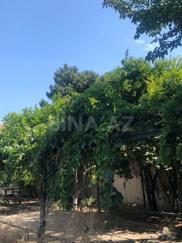 4 otaqlı həyət evi/bağ evi - Türkan q. - 196 m² (2)