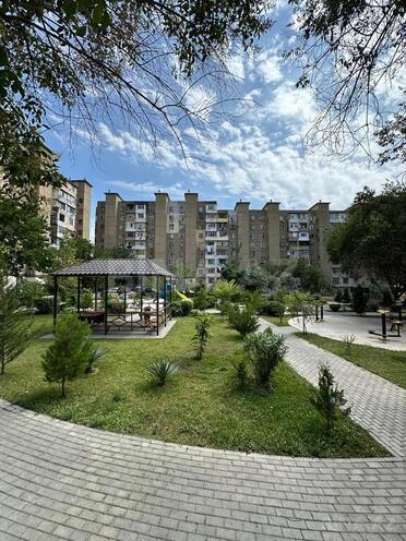 3-комн. вторичка - м. Ази Асланов - 65 м² (11)