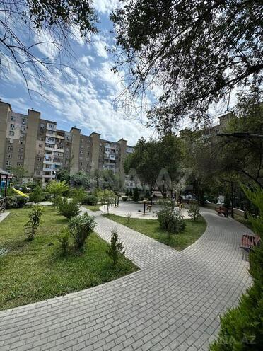 3-комн. вторичка - м. Ази Асланов - 65 м² (7)