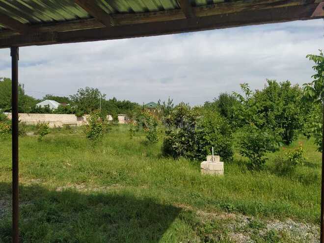 Участок - Тертер - 40 сот (9)