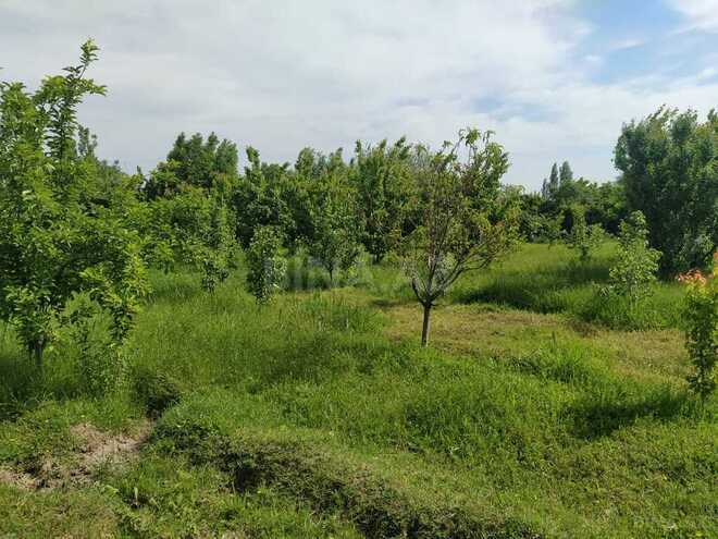 Участок - Тертер - 40 сот (26)