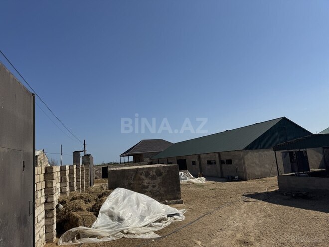 Obyekt - Dübəndi q. - 300 m² (4)