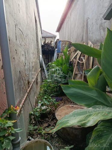 3 otaqlı həyət evi/bağ evi - Mehdiabad q. - 80 m² (4)