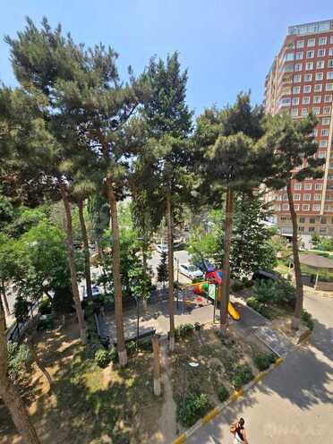 3-комн. новостройка - м. Мемар Аджеми - 115.9 м² (3)