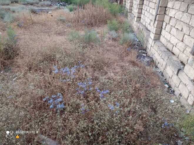 Obyekt - Ceyranbatan q. - 250 m² (4)