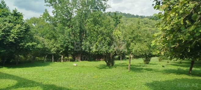 5-комн. дом/дача - Загатала - 288 м² (2)