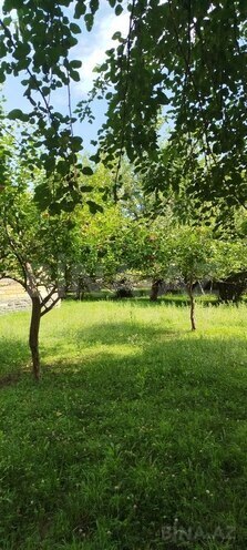 5-комн. дом/дача - Загатала - 288 м² (13)