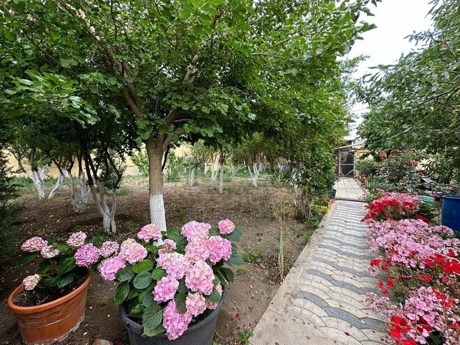 4 otaqlı həyət evi/bağ evi - Pirallahı r. - 240 m² (5)