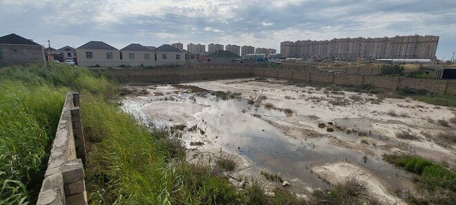 Участок - пос. Мамедли - 19 сот (7)