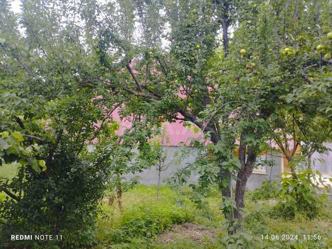 3-комн. дом/дача - Исмаиллы - 100 м² (3)