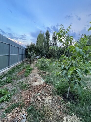 3 otaqlı həyət evi/bağ evi - Quba - 70 m² (30)