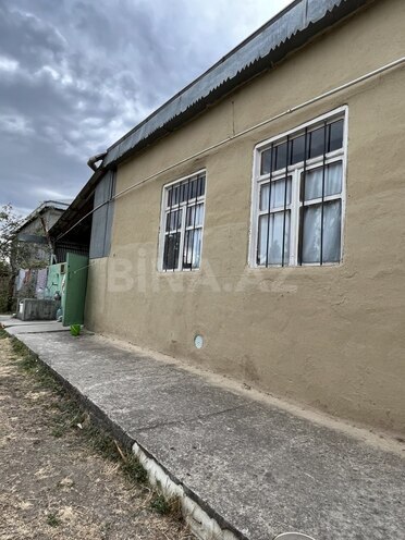 3 otaqlı həyət evi/bağ evi - Quba - 70 m² (1)