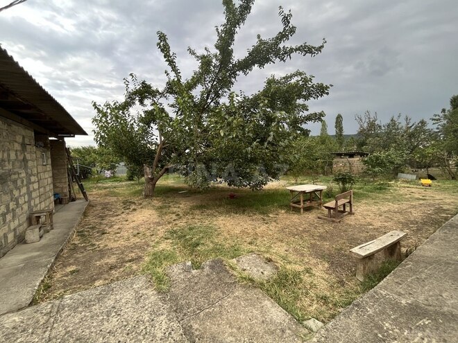 3 otaqlı həyət evi/bağ evi - Quba - 70 m² (27)