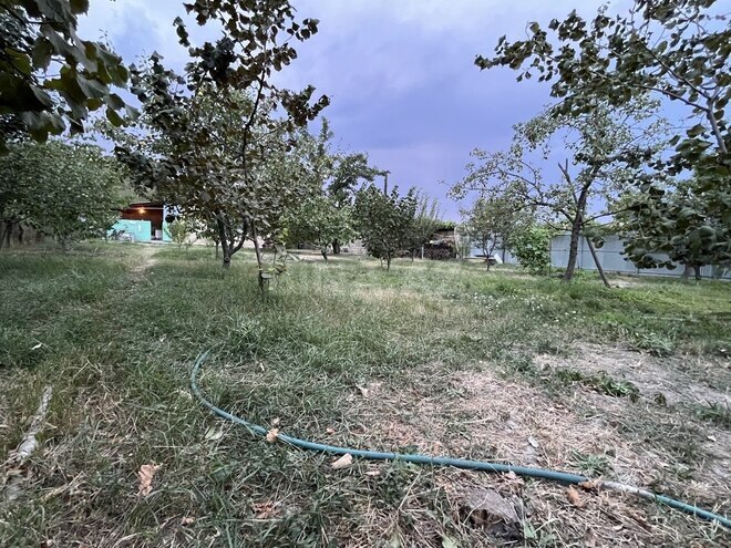 3 otaqlı həyət evi/bağ evi - Quba - 70 m² (29)