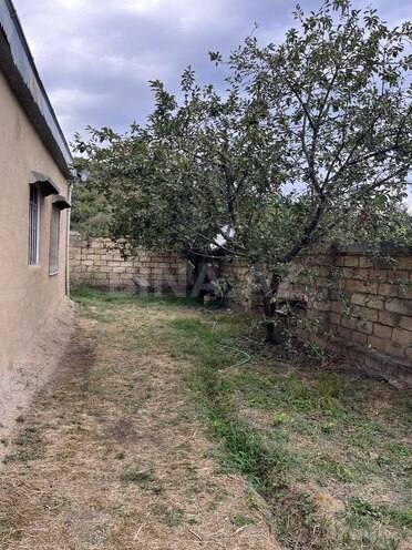 3 otaqlı həyət evi/bağ evi - Quba - 70 m² (26)