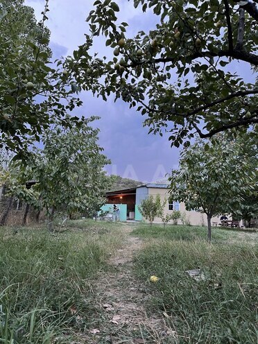 3 otaqlı həyət evi/bağ evi - Quba - 70 m² (28)