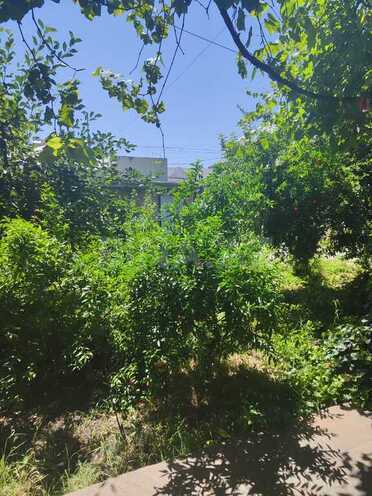 5 otaqlı həyət evi/bağ evi - Şamaxı - 120 m² (10)