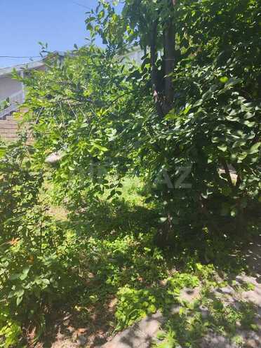 5 otaqlı həyət evi/bağ evi - Şamaxı - 120 m² (12)