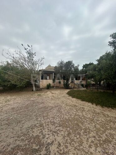 5 otaqlı həyət evi/bağ evi - Bilgəh q. - 103 m² (4)