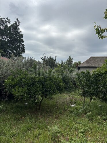 6-комн. дом/дача - Ленкорань - 350 м² (11)