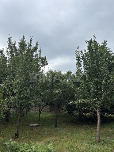 6-комн. дом/дача - Ленкорань - 350 м² (8)
