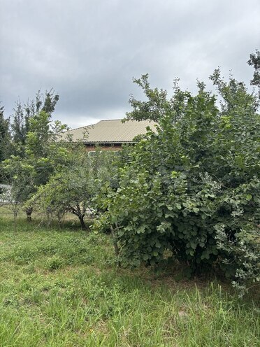 6-комн. дом/дача - Ленкорань - 350 м² (17)